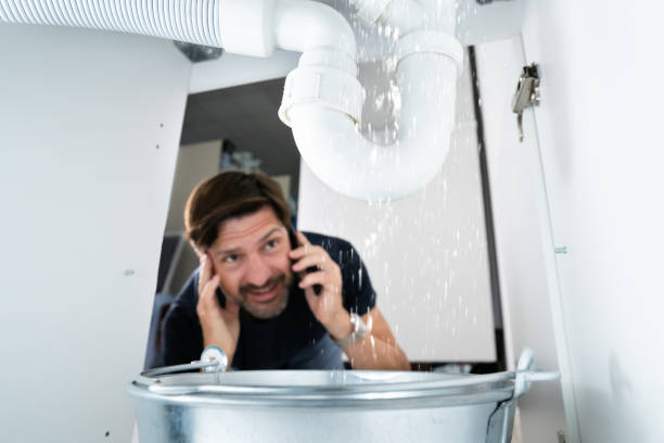 Best Plumbing Services Near Me  in Tellico Plains, TN