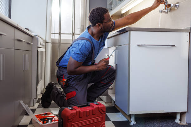 Best Clogged Drain Plumber  in Tellico Plains, TN