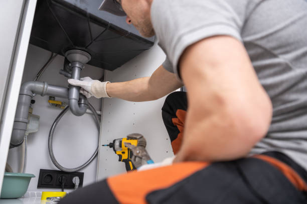 Best Local Plumber Services  in Tellico Plains, TN